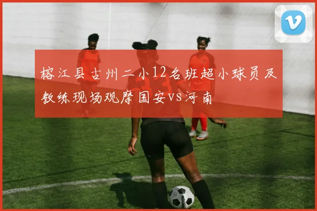 榕江县古州二小12名班超小球员及教练现场观摩国安vs河南