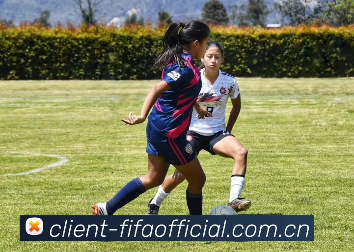 FIFA官方数据授权证书